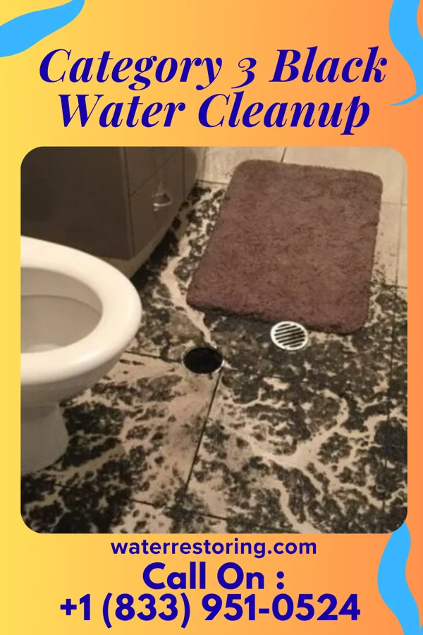 Category 3 Black Water Cleanup in Lyons, CO